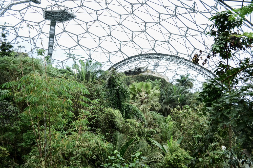 edenProject-6